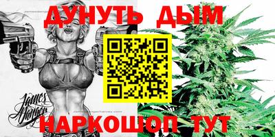 альфа пвп Заводоуковск