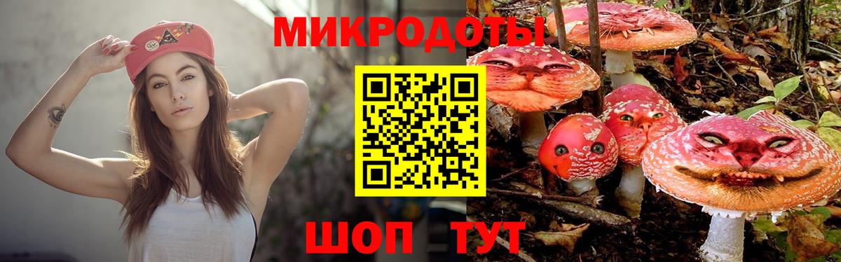 Псилоцибиновые грибы MAGIC MUSHROOMS  как найти закладки  Бутурлиновка  Вход с VPN 