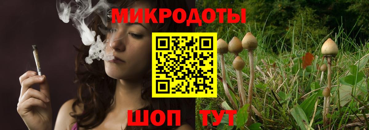 Псилоцибиновые грибы Cubensis Бутурлиновка